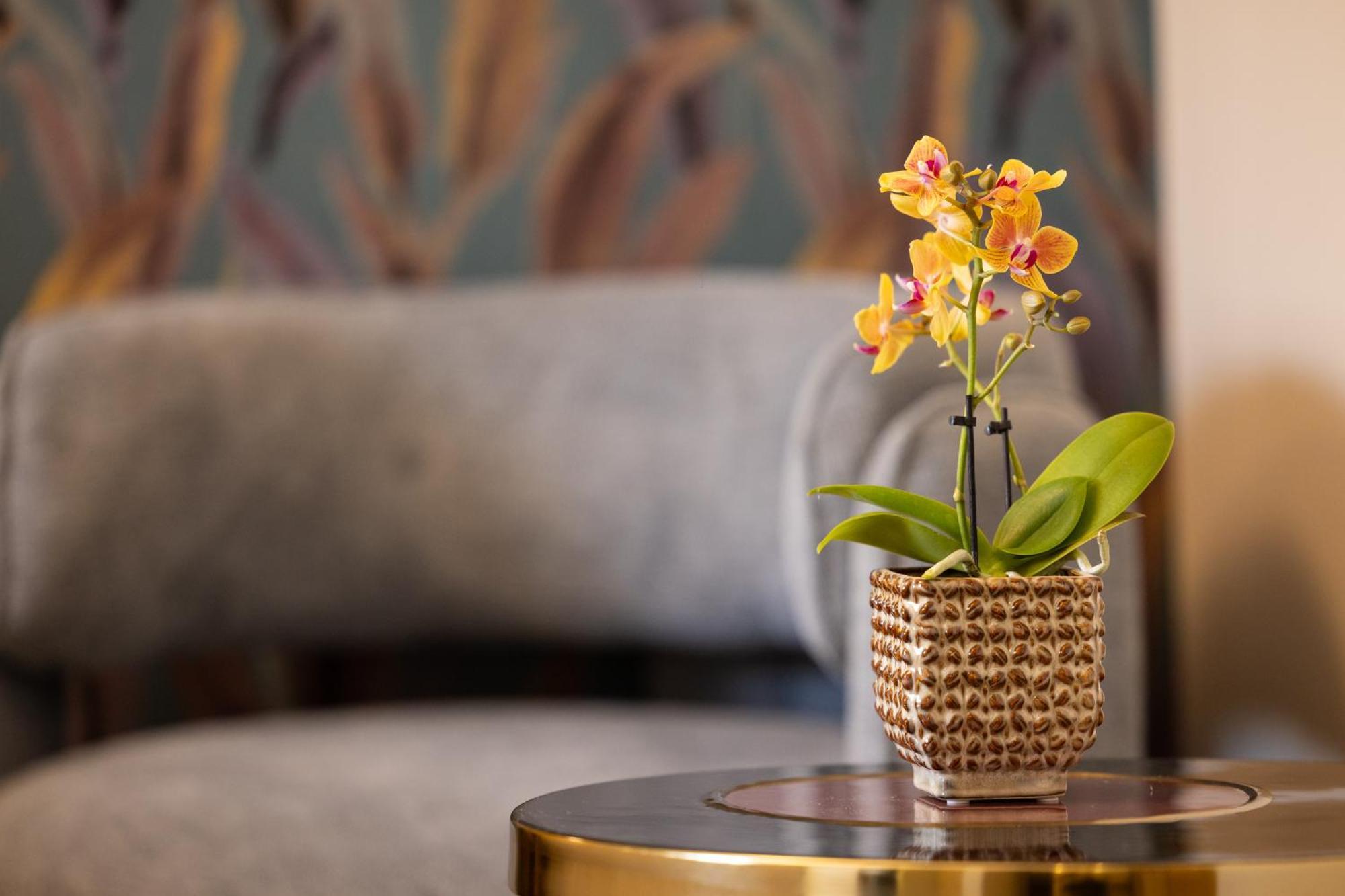 Bed & Breakfast Mavi Luxury