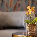 Mavi Luxury Suites