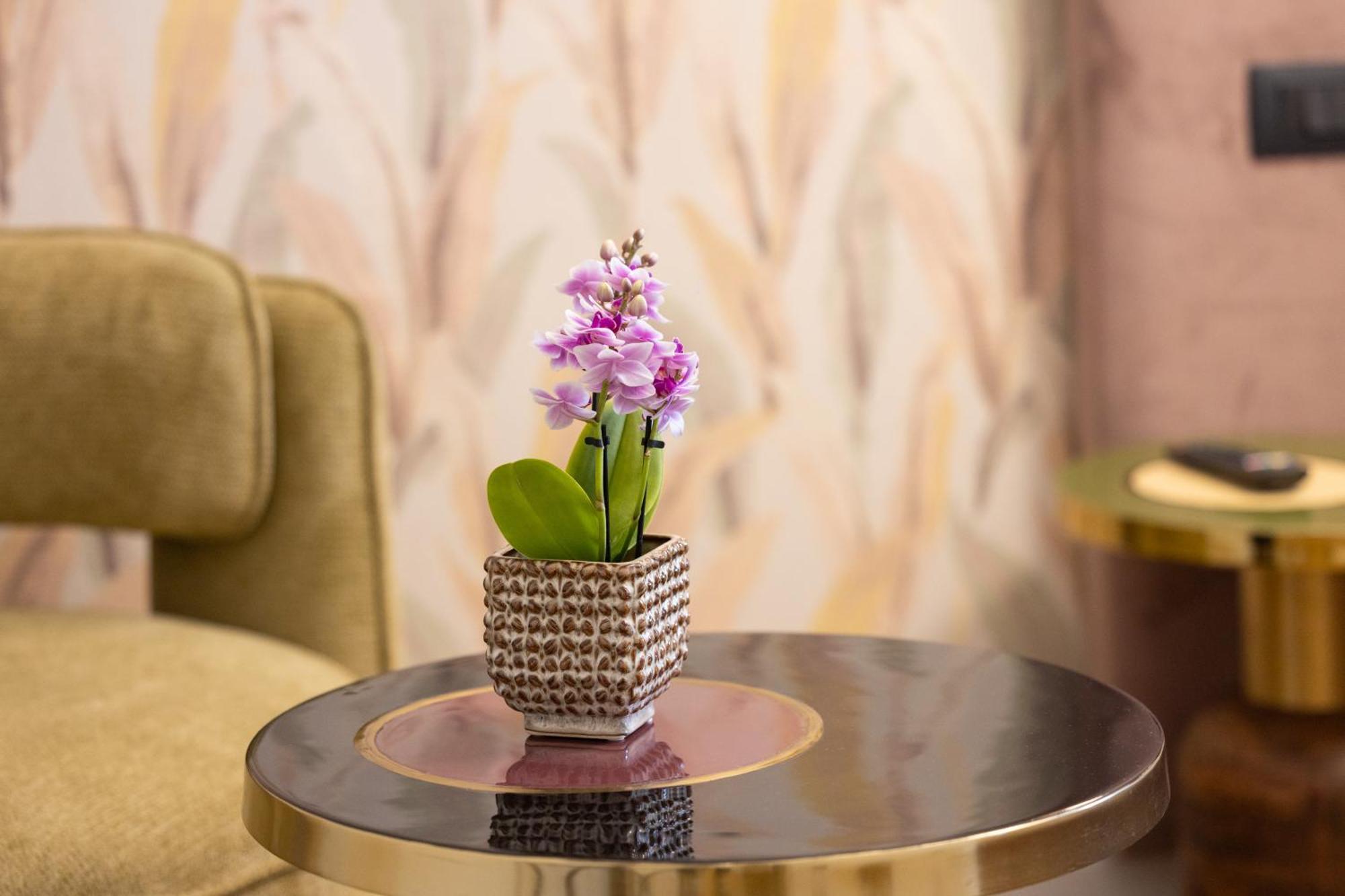 Frühstückspension Mavi Luxury Rom